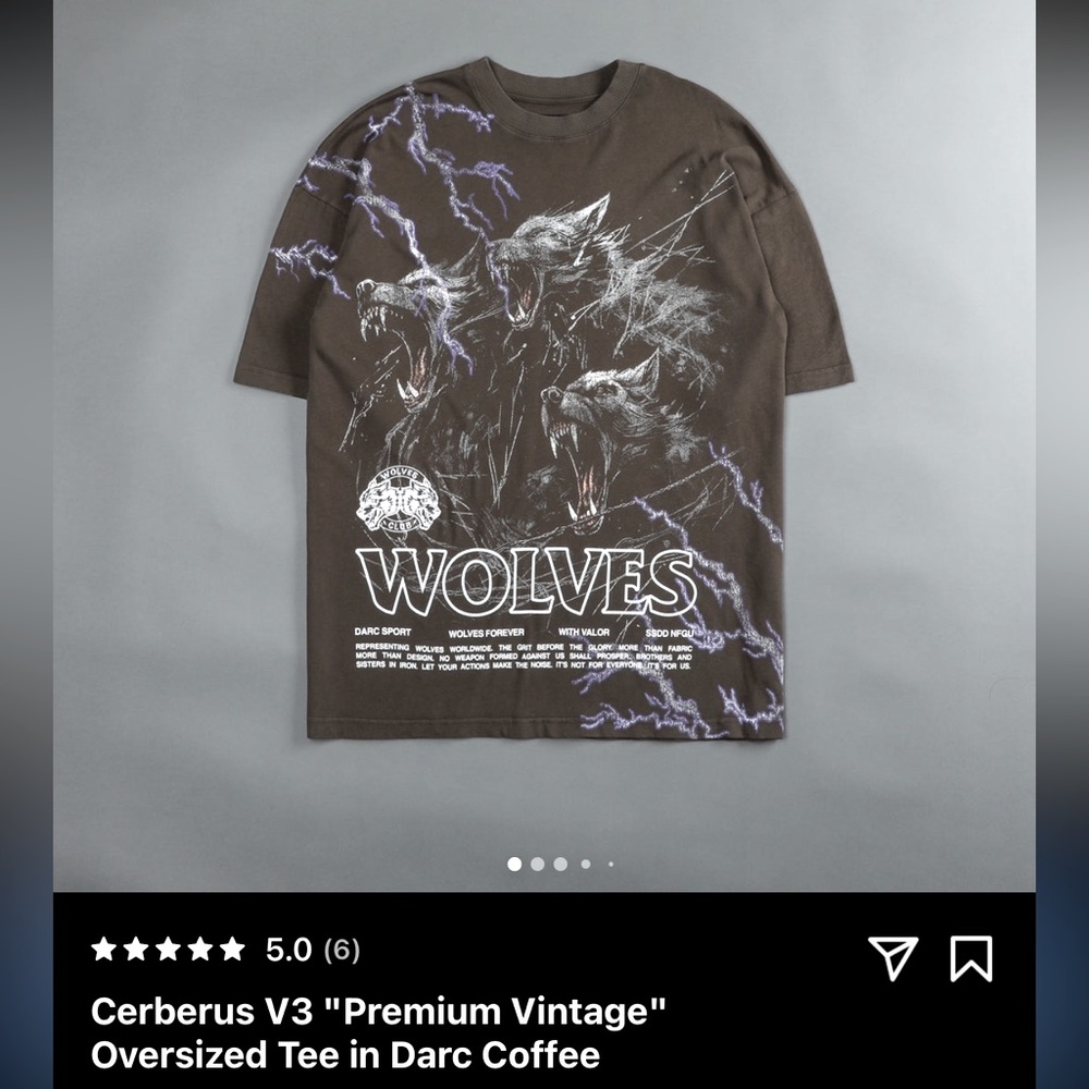 DARK SPORT premium vintage oversize tee in dark coffee